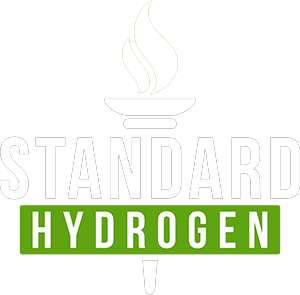 logo of standard h2